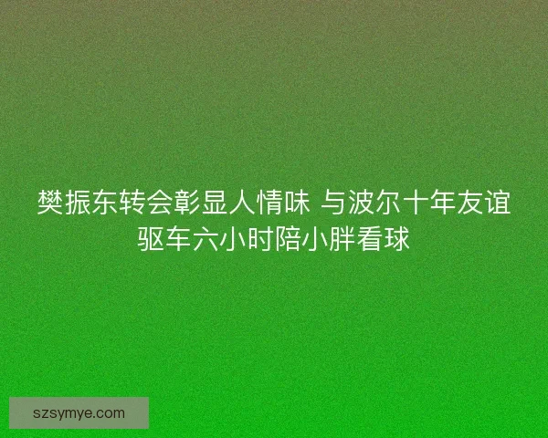 樊振东转会彰显人情味 与波尔十年友谊驱车六小时陪小胖看球 樊振东转会彰显人情味 与波尔十年友谊驱车六小时陪小胖看球