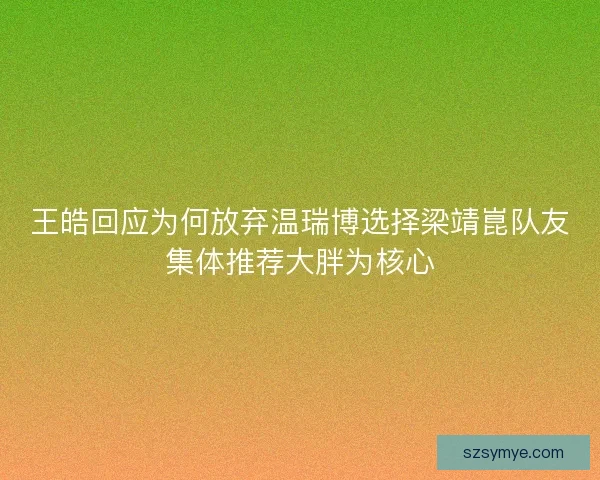 王皓回应为何放弃温瑞博选择梁靖崑队友集体推荐大胖为核心 王皓回应为何放弃温瑞博选择梁靖崑队友集体推荐大胖为核心