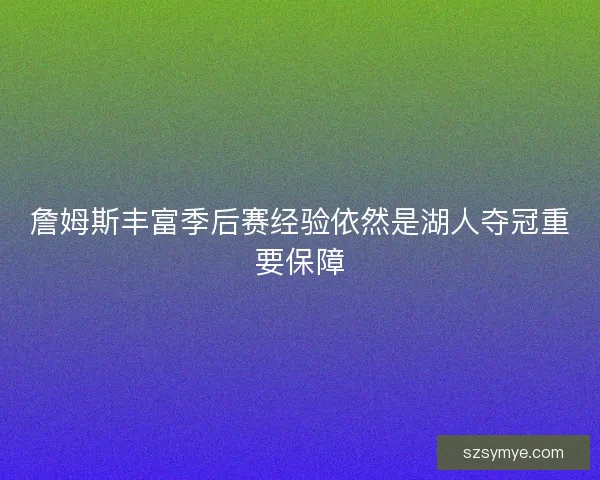 詹姆斯丰富季后赛经验依然是湖人夺冠重要保障 詹姆斯丰富季后赛经验依然是湖人夺冠重要保障