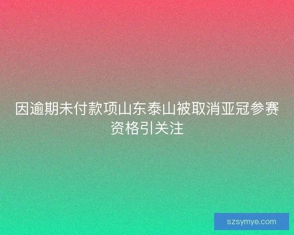因逾期未付款项山东泰山被取消亚冠参赛资格引关注 因逾期未付款项山东泰山被取消亚冠参赛资格引关注